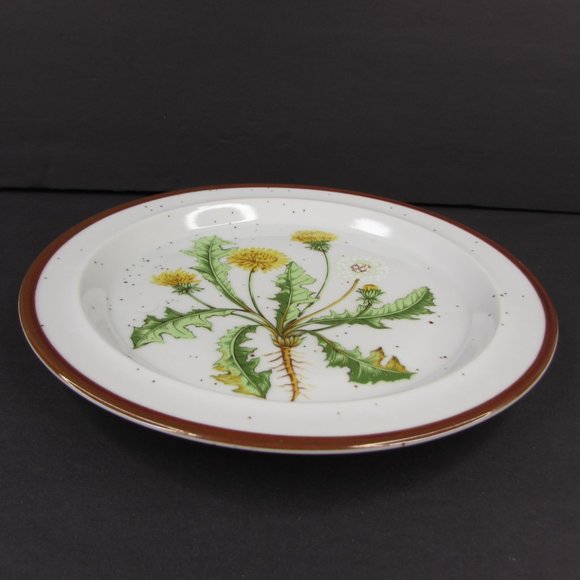 Vintage Dandelion 206 Japan Brown Speckle Stoneware Luncheon Salad 8" Plate - Picture 5 of 6